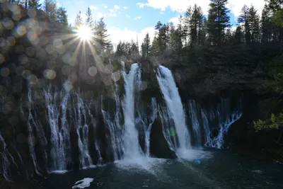 DSC_5936 (Large).JPG